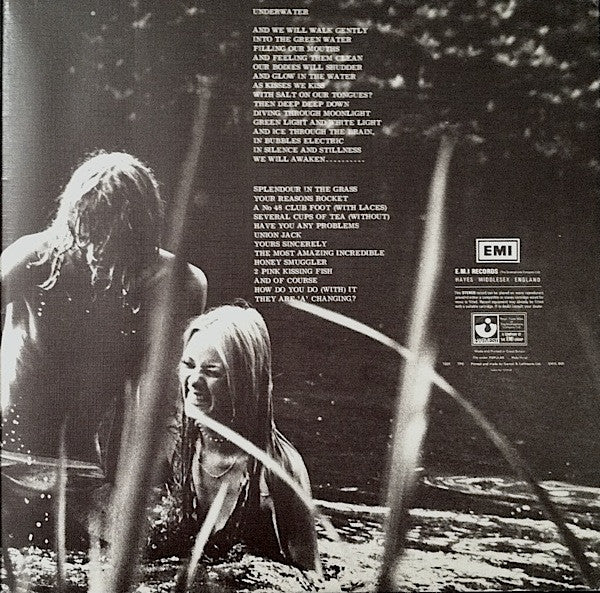 Kevin Ayers : Whatevershebringswesing (LP, Album, RP, Gat)
