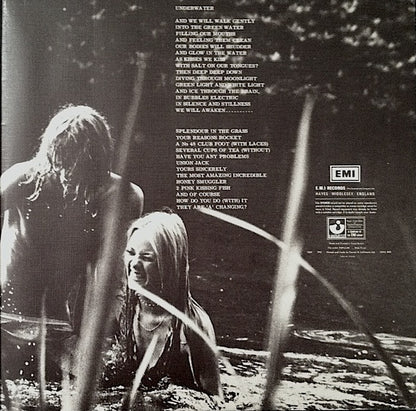 Kevin Ayers : Whatevershebringswesing (LP, Album, RP, Gat)