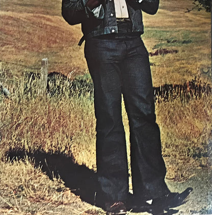 Taj Mahal : Happy Just To Be Like I Am (LP, Album, Pit)