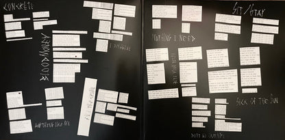 Poppy (38) : I Disagree (LP, Album, Cle)