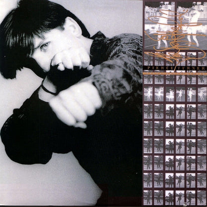 Pierce Turner : The Sky And The Ground (LP, Album)