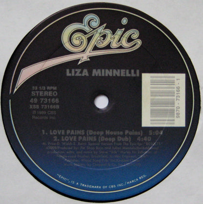 Liza Minnelli : Love Pains (12")