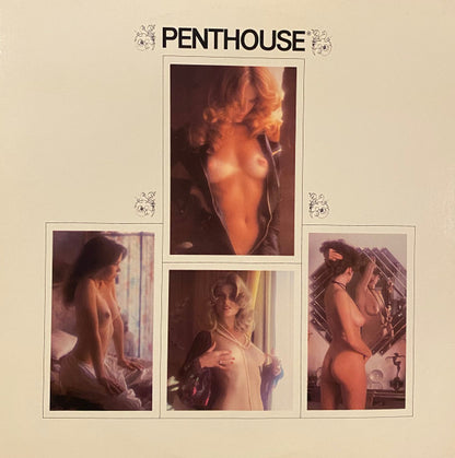 The Love Symphony Orchestra : Penthouse Presents The Love Symphony Orchestra (LP, Album, Gat)