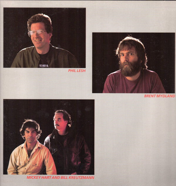 Grateful Dead* : In The Dark (LP, Album, Hau)