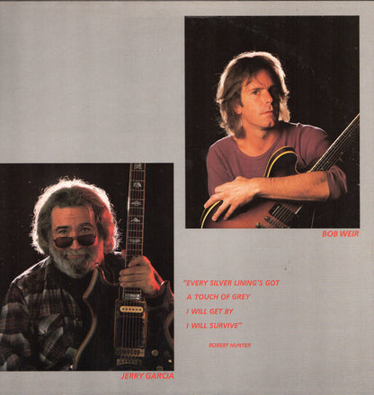 Grateful Dead* : In The Dark (LP, Album, Hau)