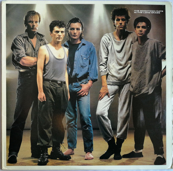 The Boomtown Rats : In The Long Grass (LP, Album, Pit)