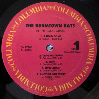 The Boomtown Rats : In The Long Grass (LP, Album, Pit)