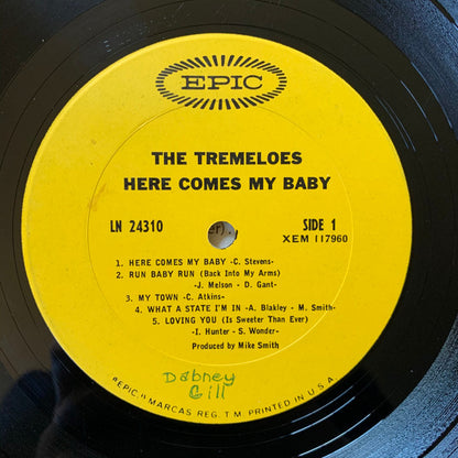 The Tremeloes : Here Comes My Baby (LP, Album, Mono, Pit)