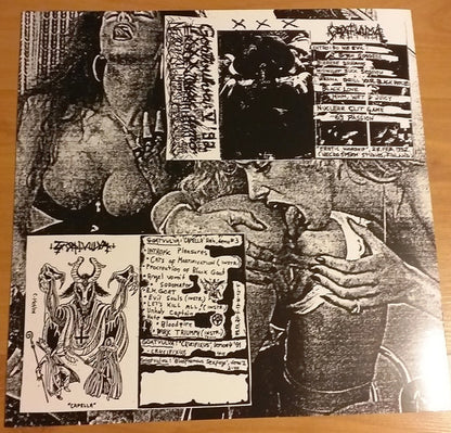 Goatvulva* : Goatvulva (LP, Comp, Pin)