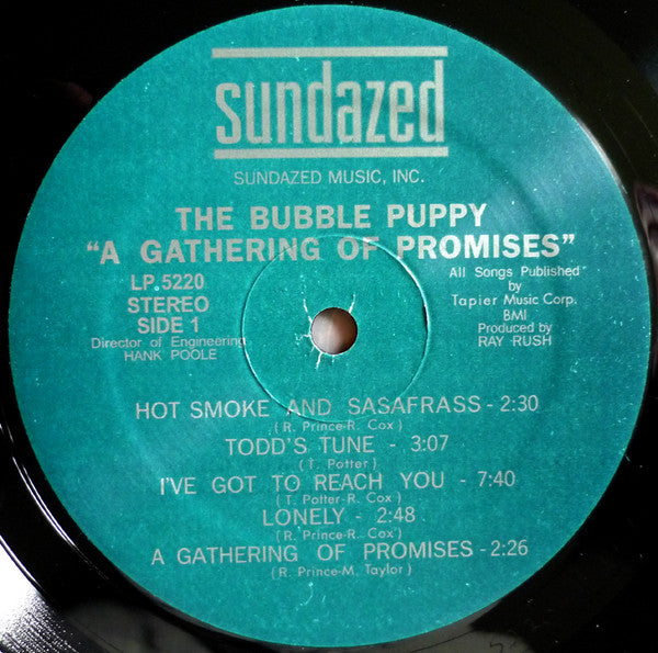 Bubble Puppy : A Gathering Of Promises (LP, Album, RE)