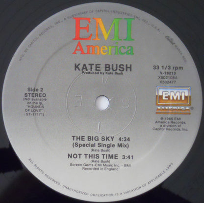 Kate Bush : The Big Sky (Meteorological Mix) (12", Single)