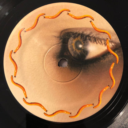 A Perfect Circle : Thirteenth Step (2xLP, Album, RE)