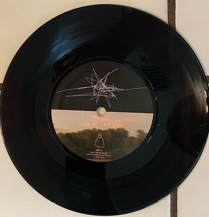 Porter Robinson : Look At The Sky (7", S/Sided, Single, Etch)