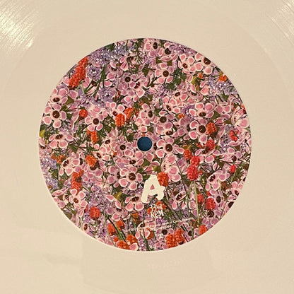 Hobo Johnson : The Fall of Hobo Johnson (LP, Album, Whi)