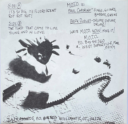 Masters Of The Obvious* : Hammeroid (7", EP)