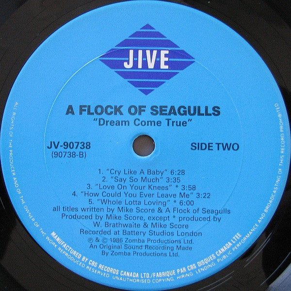 A Flock Of Seagulls : Dream Come True (LP, Album)
