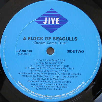 A Flock Of Seagulls : Dream Come True (LP, Album)