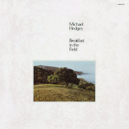 Michael Hedges : Breakfast In The Field (LP, Album, RTI)