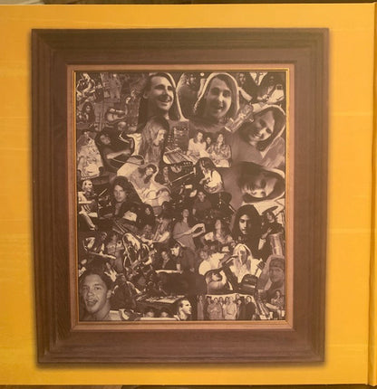 Blind Melon : Blind Melon (2xLP, Album, RE, Gat)