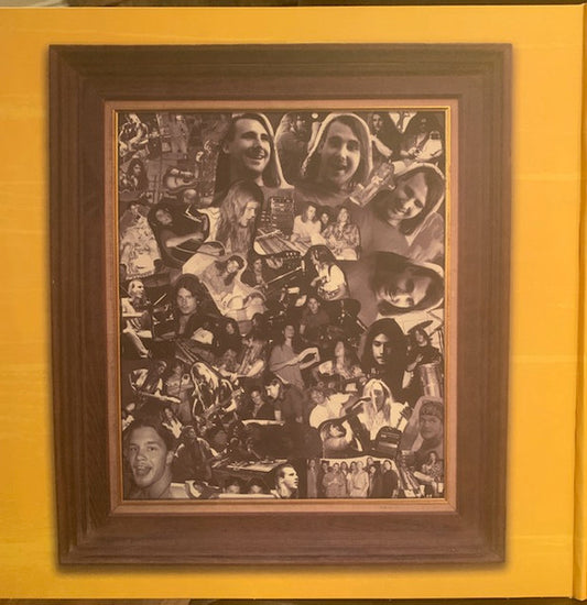 Blind Melon : Blind Melon (2xLP, Album, RE, Gat)