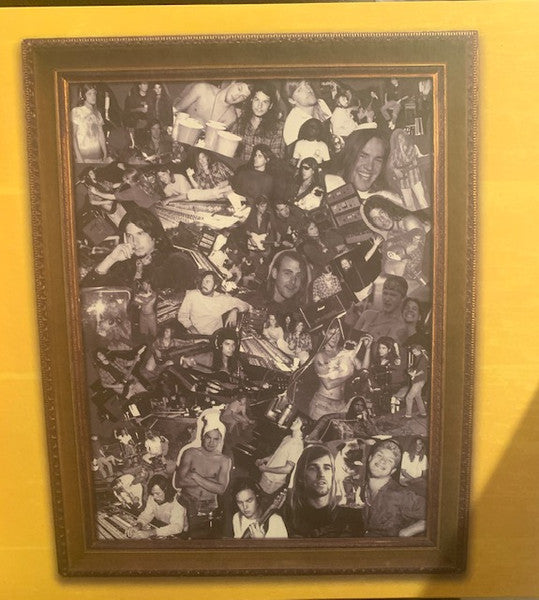 Blind Melon : Blind Melon (2xLP, Album, RE, Gat)