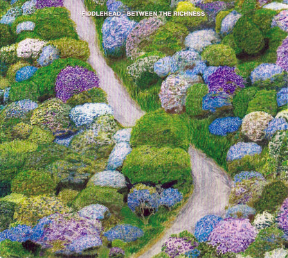 Fiddlehead (2) : Between The Richness (CD, Album)