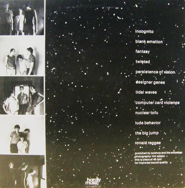 Amoebas In Chaos : On To Mayday (LP, Album)