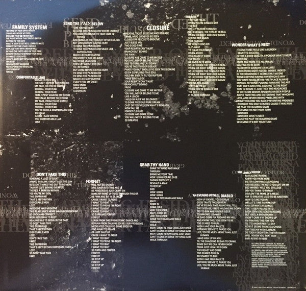 Chevelle (2) : Wonder What's Next (LP, Album, RE)