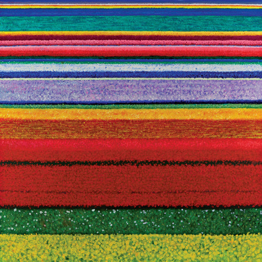 City And Colour : Little Hell (2xLP, Album, RE, RM, 180)