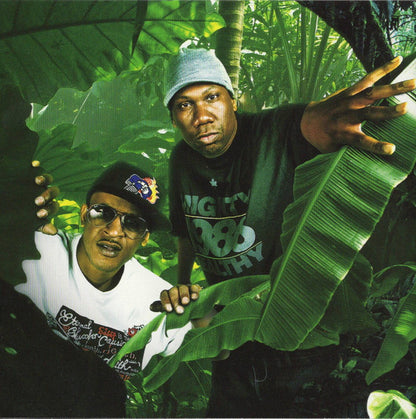 KRS-One & Buckshot : Survival Skills (CD, Album)