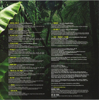 KRS-One & Buckshot : Survival Skills (CD, Album)