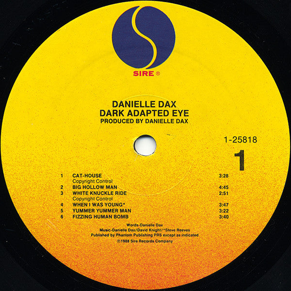Danielle Dax : Dark Adapted Eye (LP, Album, Comp, All)