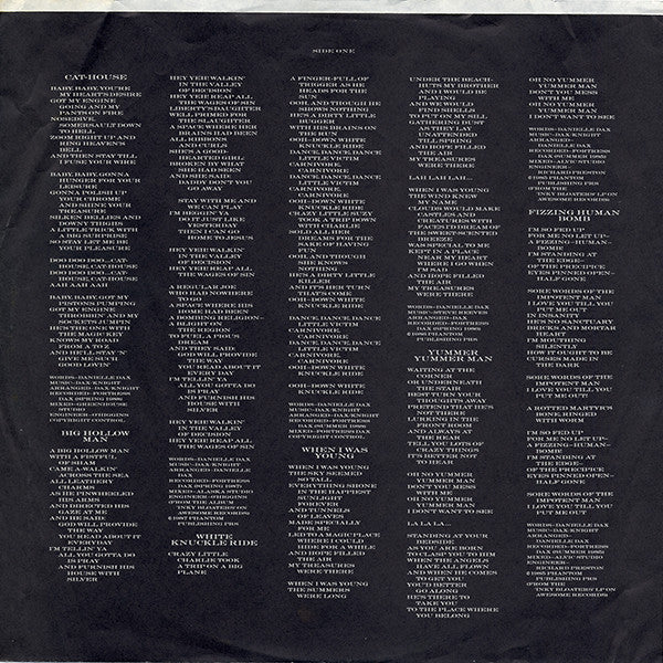 Danielle Dax : Dark Adapted Eye (LP, Album, Comp, All)