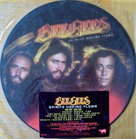 Bee Gees : Spirits Having Flown (LP, Album, Pic)