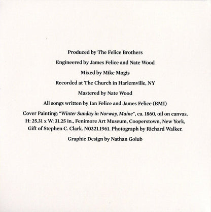 The Felice Brothers : From Dreams To Dust (CD, Album)