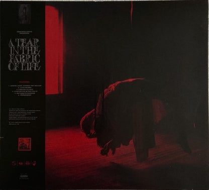 Knocked Loose : A Tear In The Fabric Of Life (CD, EP)