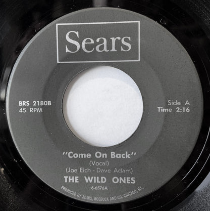 The Wild Ones (3) : Come On Back (7", Single)