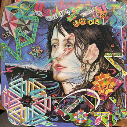 Todd Rundgren : A Wizard, A True Star (LP, Album, Pit)