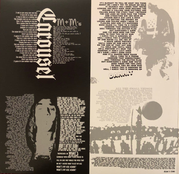 Blink-182 : Greatest Hits (2xLP, Comp, RE)