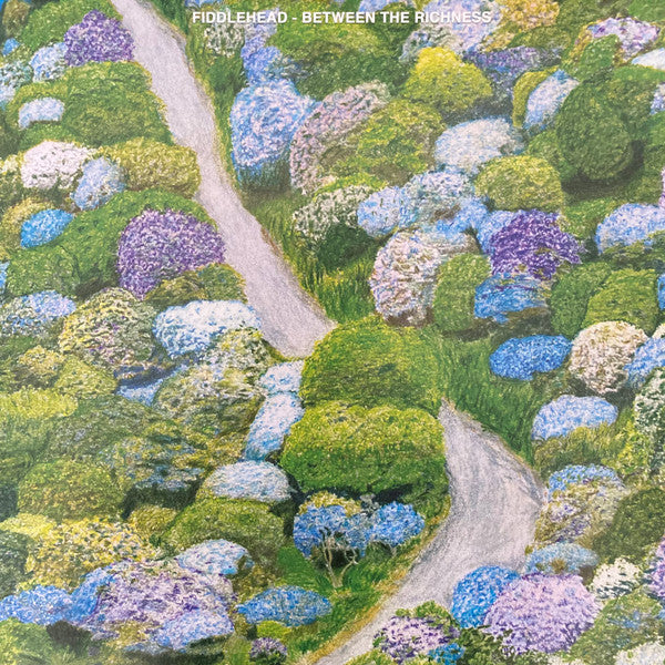 Fiddlehead (2) : Between the Richness (LP, Album, Ora)