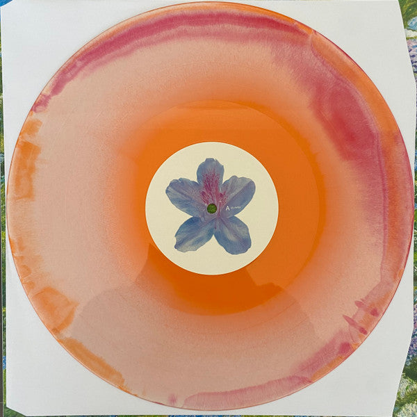 Fiddlehead (2) : Between the Richness (LP, Album, Ora)