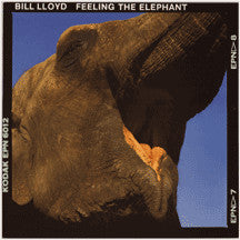 Bill Lloyd (3) : Feeling The Elephant (LP, Album)