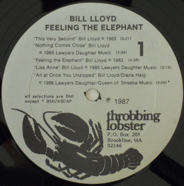 Bill Lloyd (3) : Feeling The Elephant (LP, Album)
