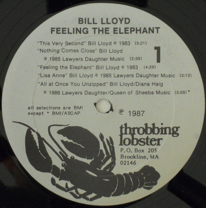Bill Lloyd (3) : Feeling The Elephant (LP, Album)