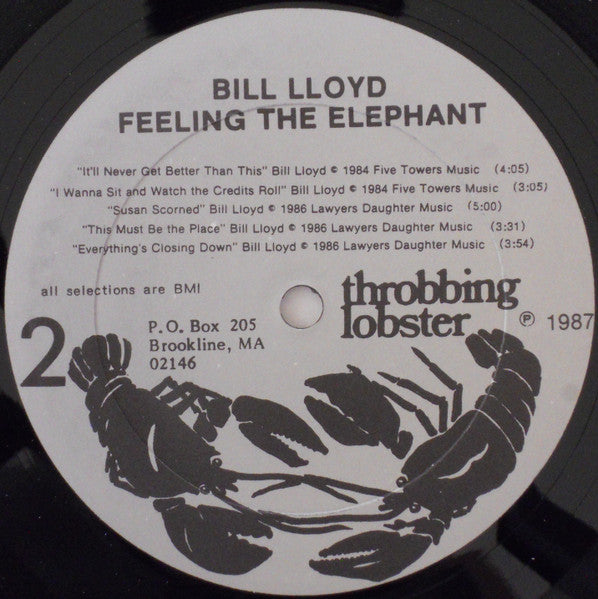 Bill Lloyd (3) : Feeling The Elephant (LP, Album)