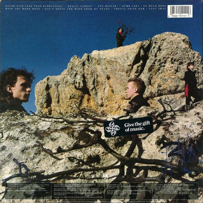 Immaculate Fools : Dumb Poet (LP, Album)