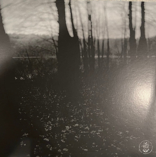 The Hotelier : It Never Goes Out (LP, RP, Red)