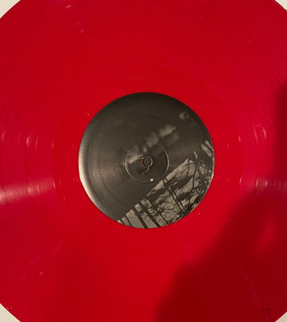 The Hotelier : It Never Goes Out (LP, RP, Red)