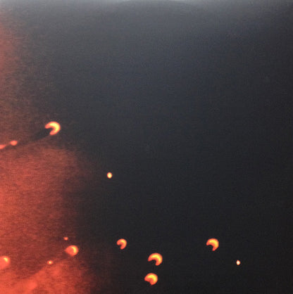 Pearl Jam : Binaural (2xLP, Album)