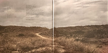 American Aquarium : Chicamacomico (LP, Album, Ltd, Pur)